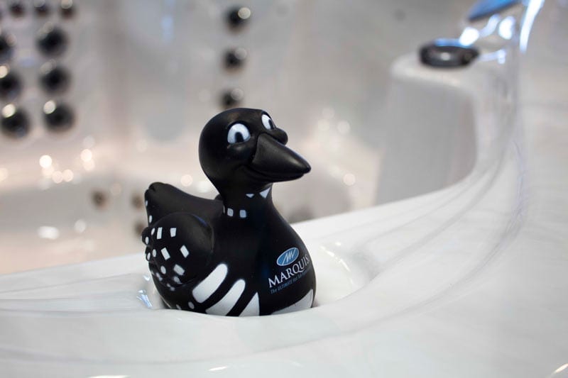 Close-up of a Marquis rubber ducky